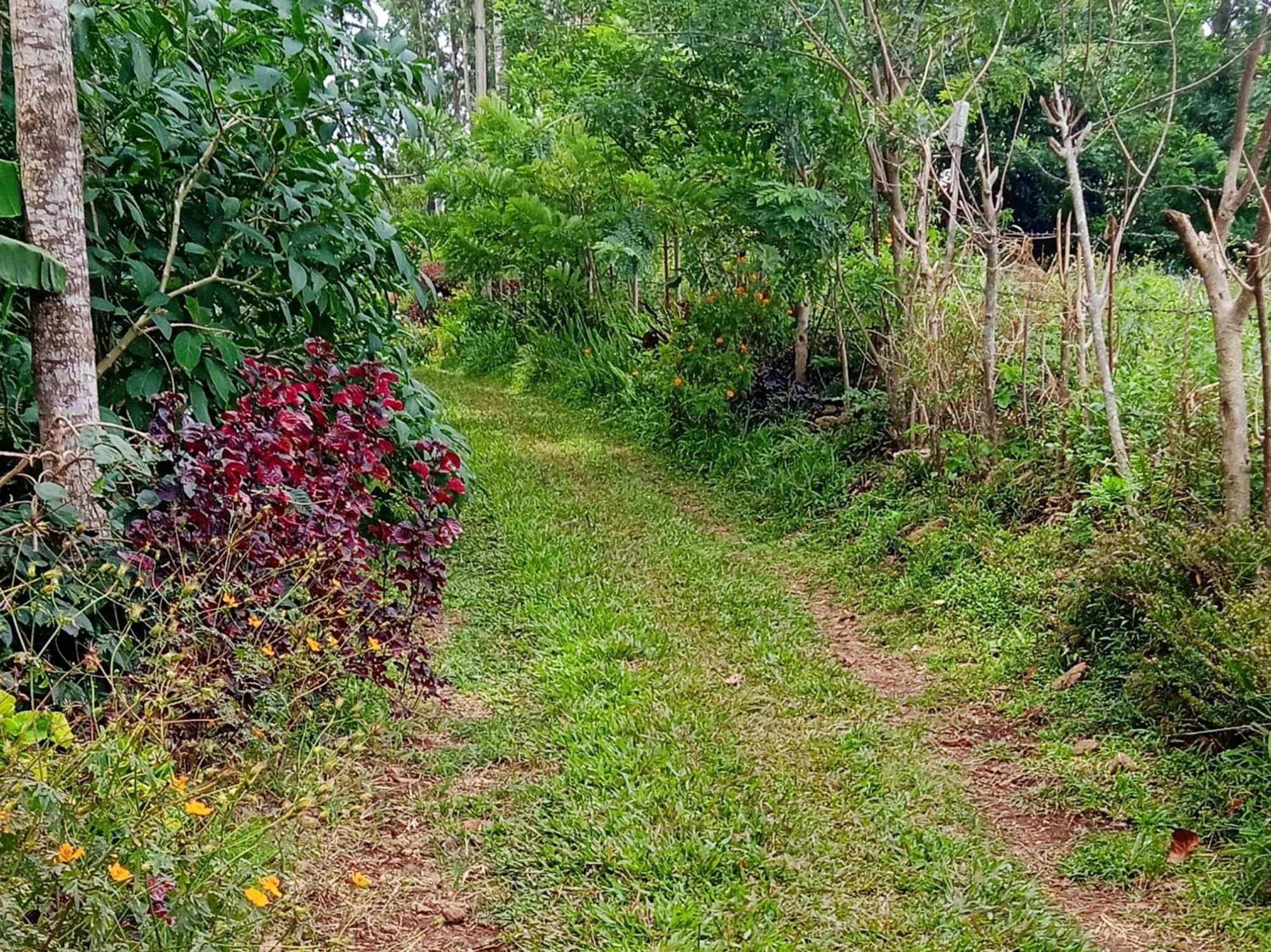 Farmer Homestay Йеркод Экстерьер фото
