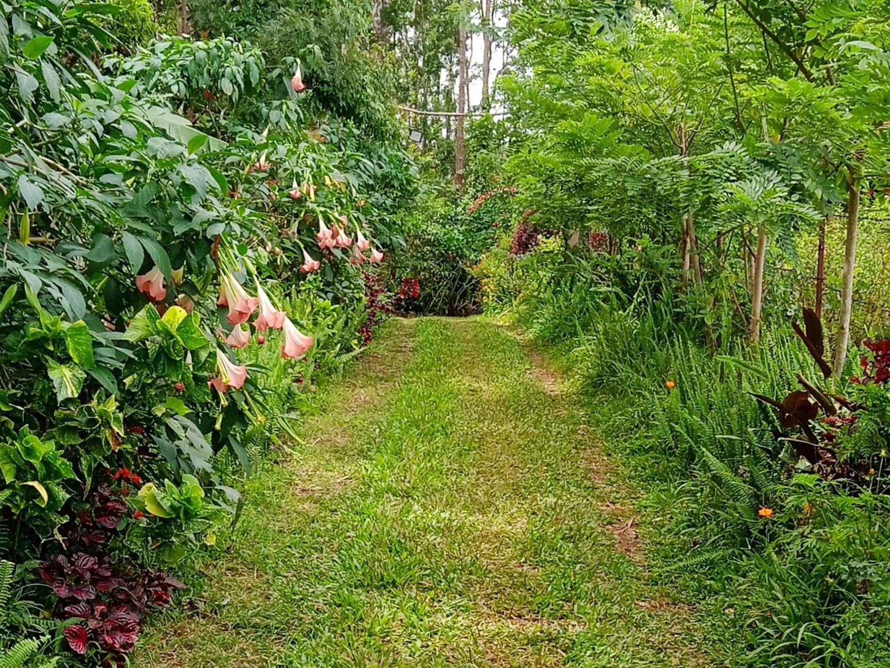 Farmer Homestay Йеркод Экстерьер фото